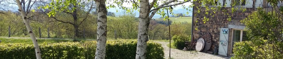 dans le jardin de l'auberge
